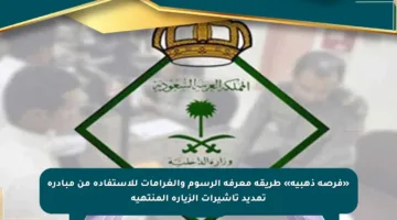 «فرصة ذهبية» طريقة معرفة الرسوم والغرامات للاستفادة من مبادرة تمديد تأشيرات الزيارة المنتهية